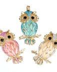 Golden Owl Locket Necklace | Premium Alloy 4