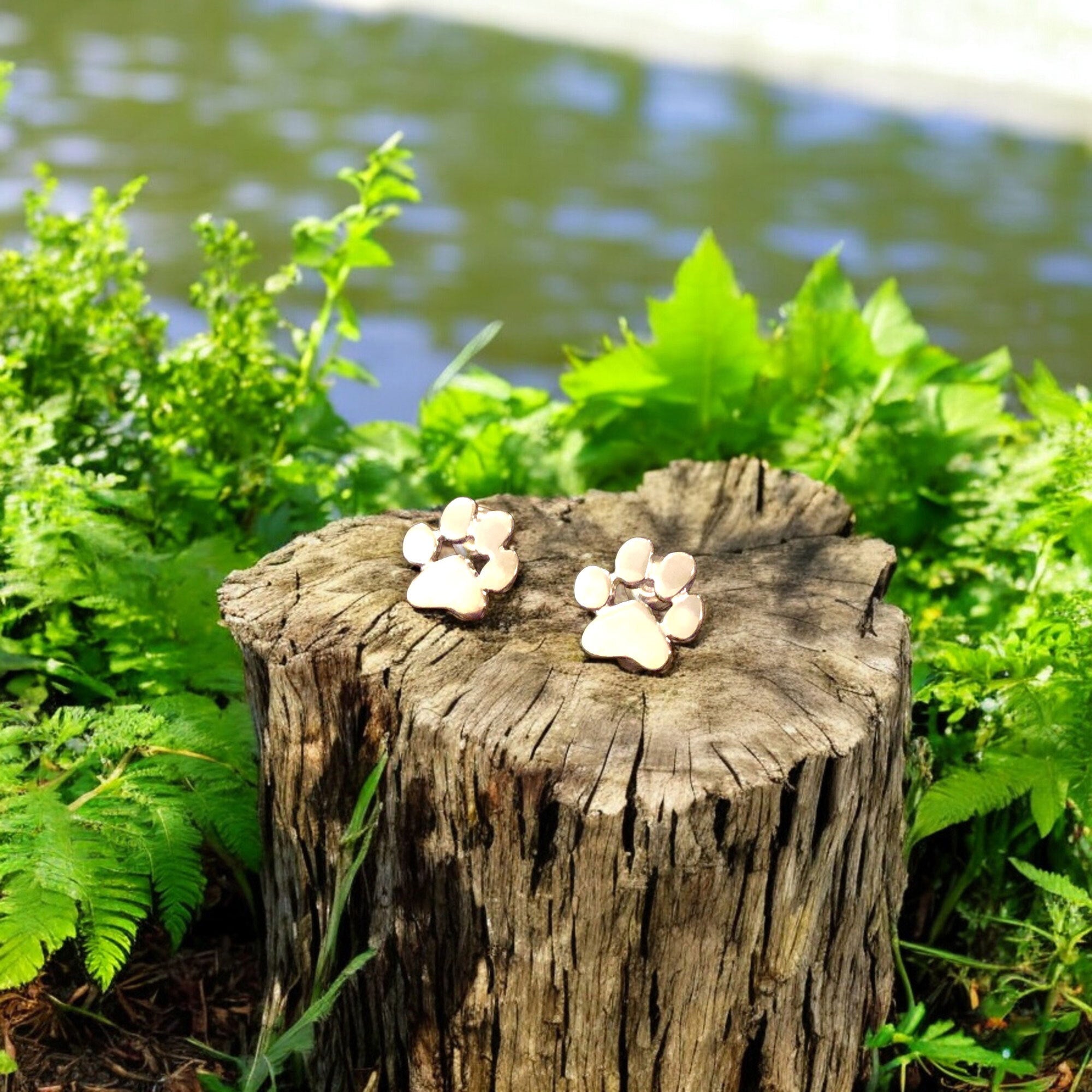 Pawfect Love Earrings | Hypoallergenic Jewelry | Stainless Steel Accessories 0