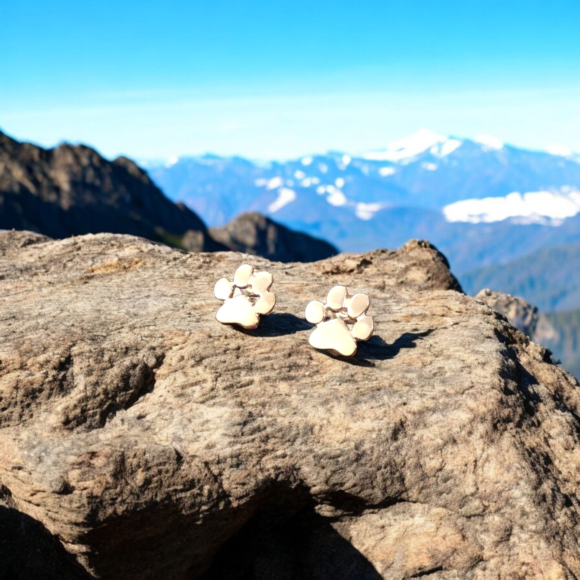 Pawfect Love Earrings | Hypoallergenic Jewelry | Stainless Steel Accessories 3