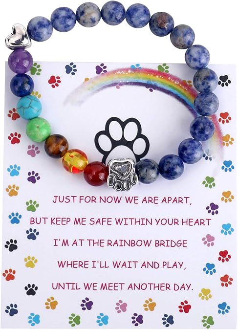 Pet Lover's Tribute Bracelet | Rainbow Bridge Memorial | 7 Chakra Healing Beads | Comfort for Pet Loss 1